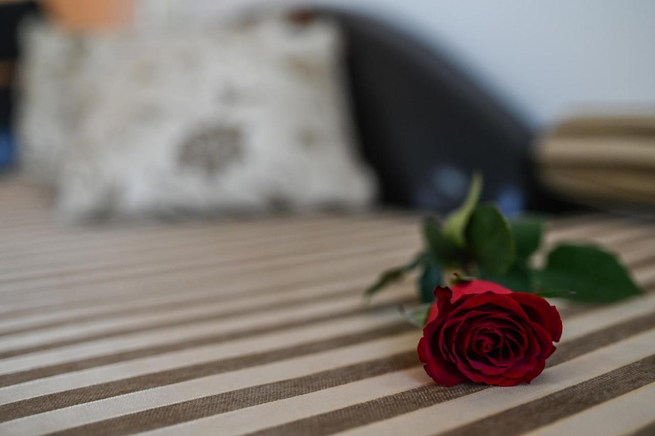 Garni Hotel Dash Újvidék Kültér fotó